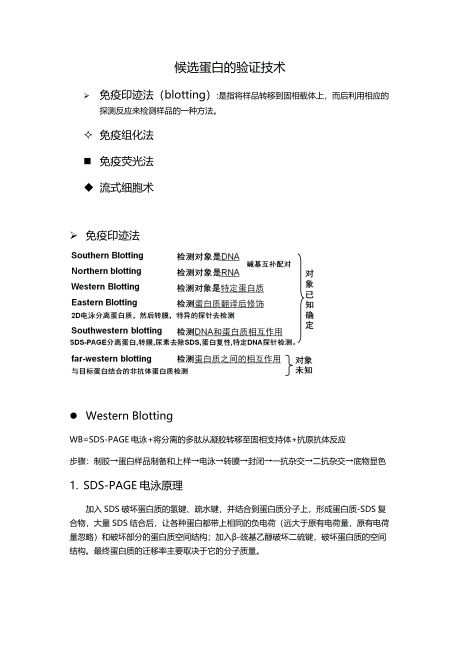 候选蛋白的验证技术_第1页