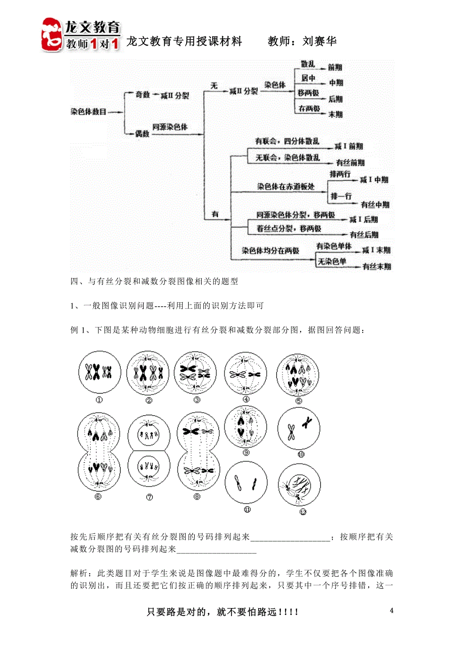 有丝分裂和减数分裂的区别_第4页