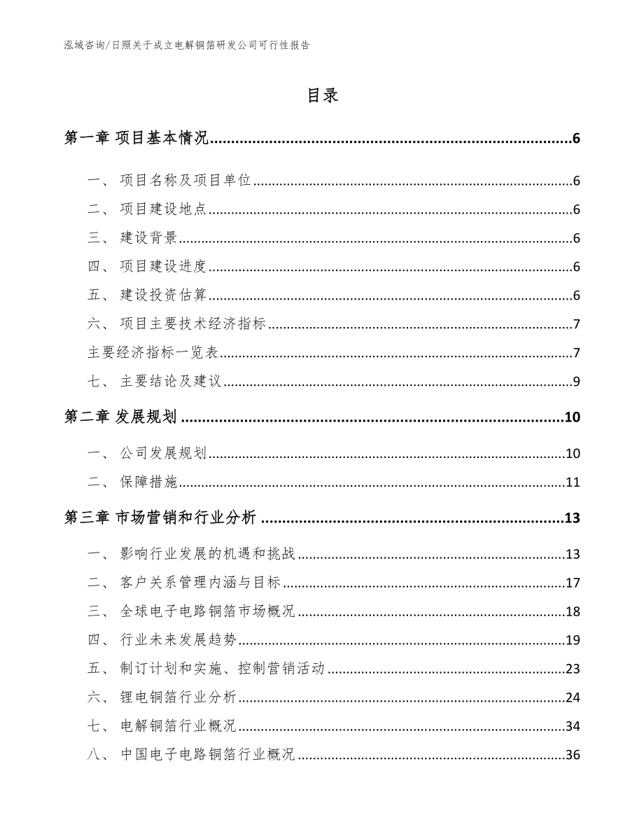 日照关于成立电解铜箔研发公司可行性报告（模板）_第1页