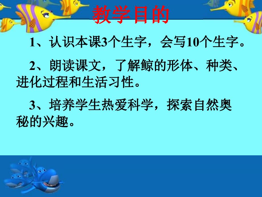 教学目的认识鲸鱼鲸的进化鲸的分类生活习性课后练习鲸的自述_第3页