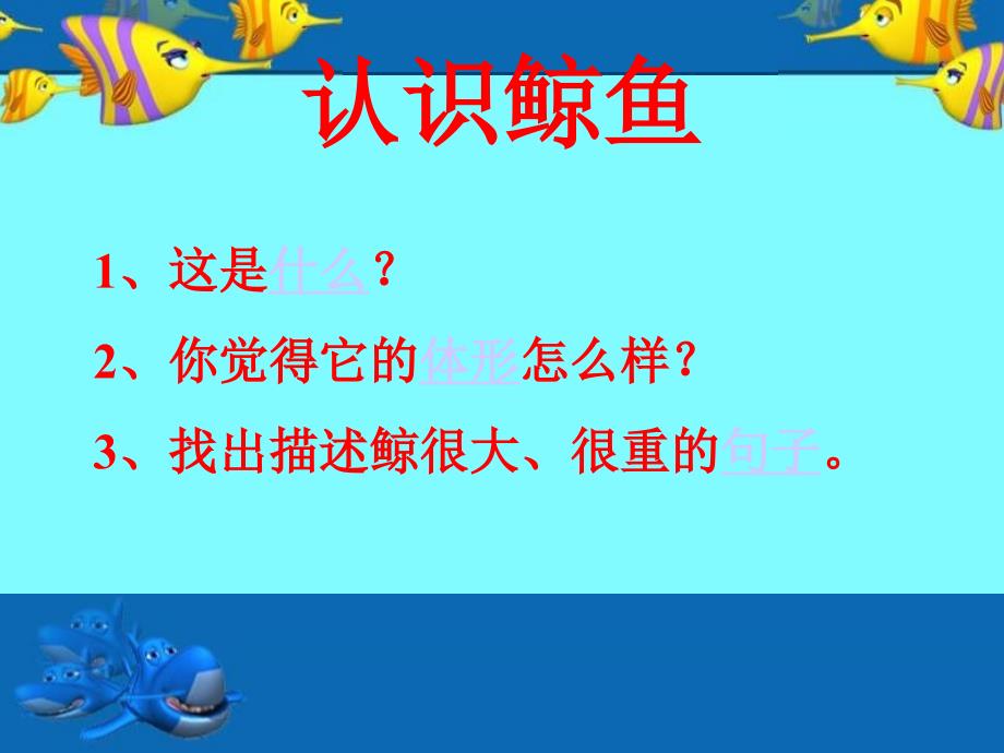 教学目的认识鲸鱼鲸的进化鲸的分类生活习性课后练习鲸的自述_第4页