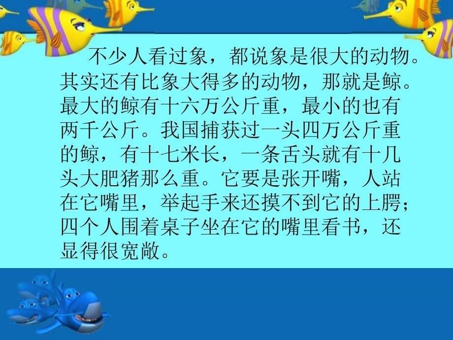 教学目的认识鲸鱼鲸的进化鲸的分类生活习性课后练习鲸的自述_第5页