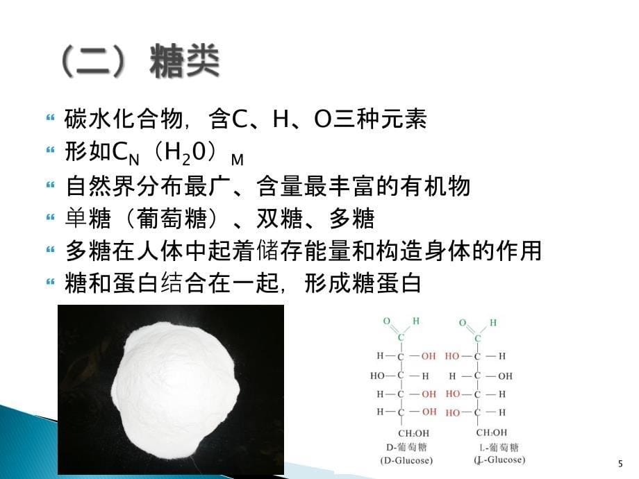 人体基本结构概述_第5页