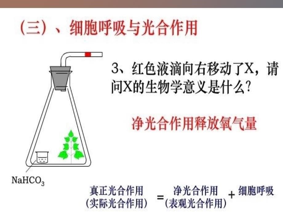 液滴移动及影响因素_第5页