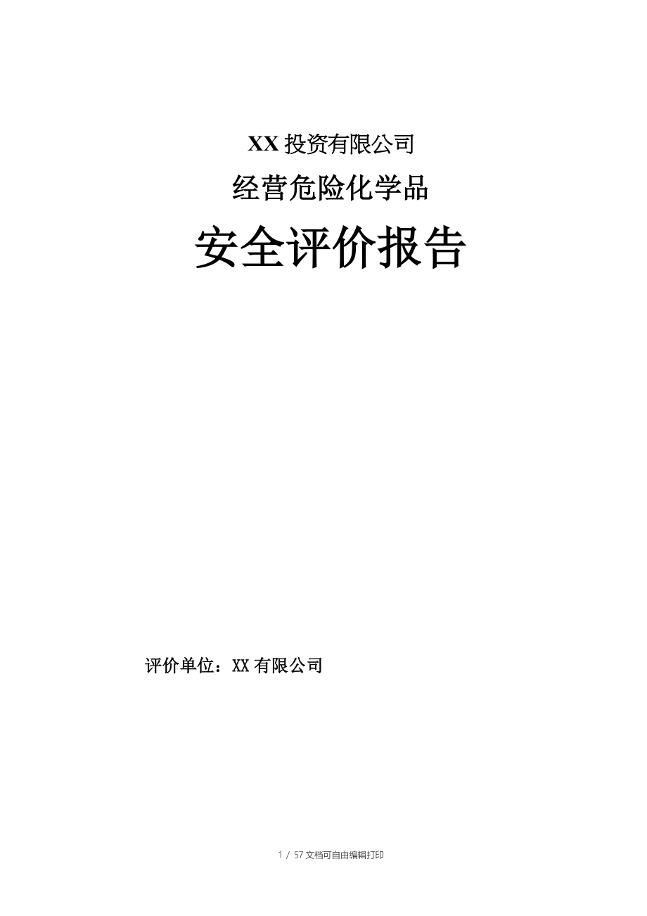 投资有限公司经营危险化学品安全评价报告_第1页