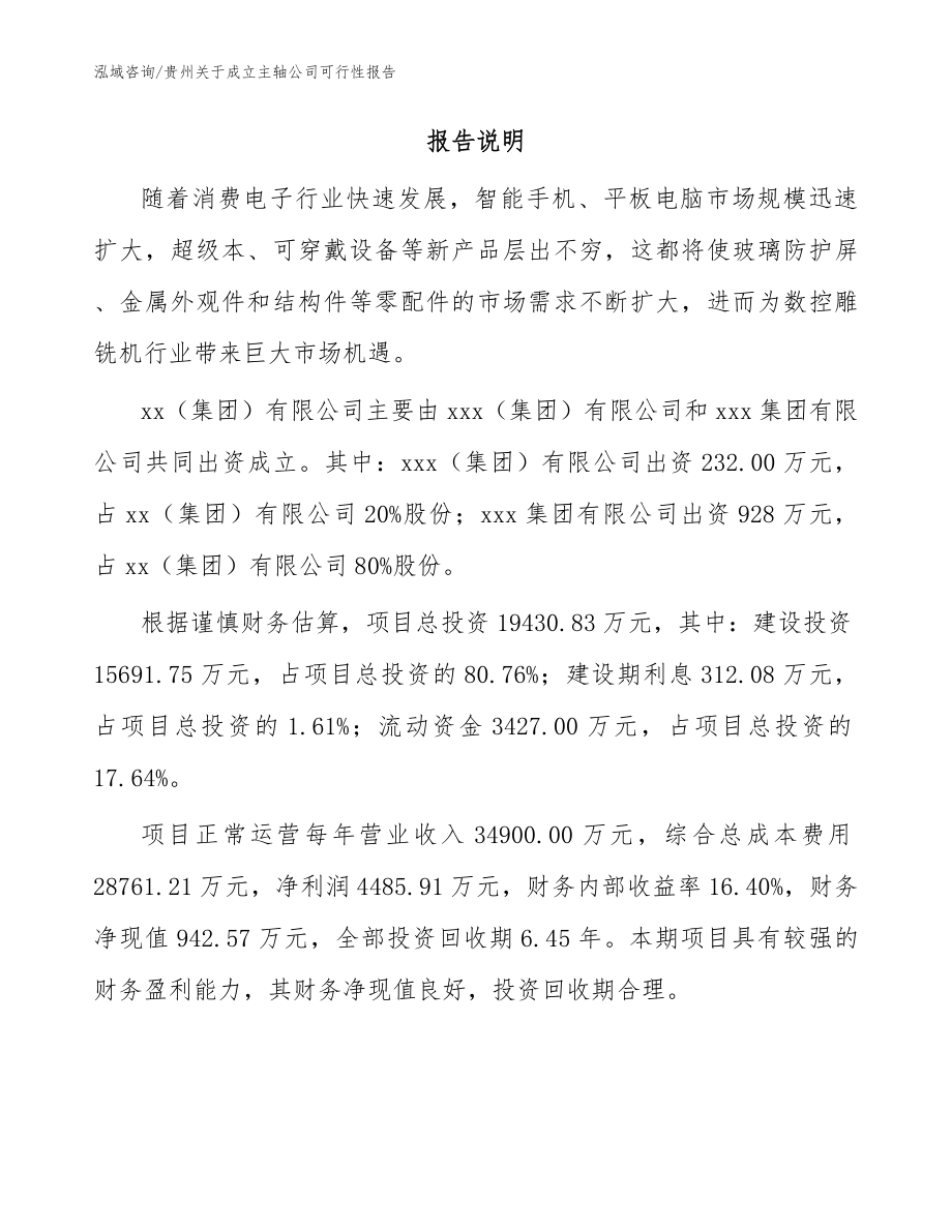 贵州关于成立主轴公司可行性报告模板范文_第2页