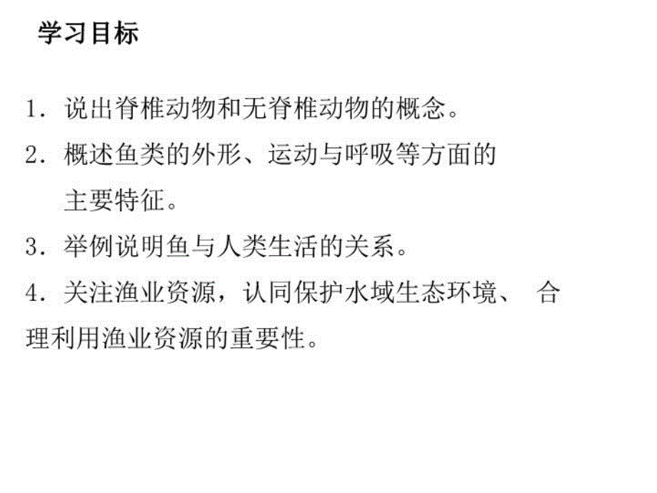 人教版生物八年级上册教学课件4鱼1共21张PPT_第3页