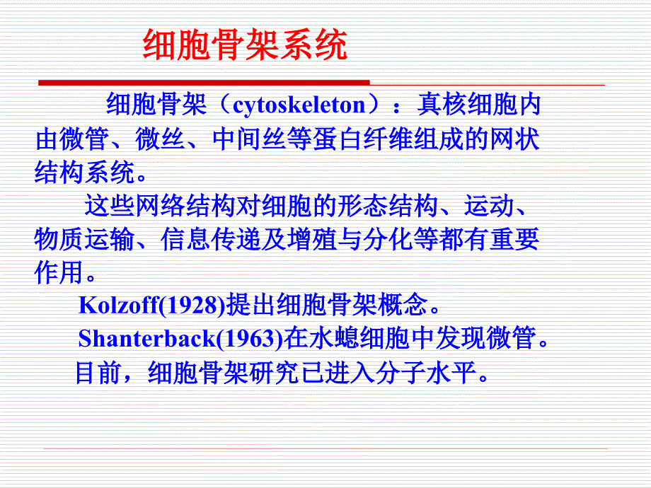 《cellB细胞骨架》PPT课件.ppt_第2页