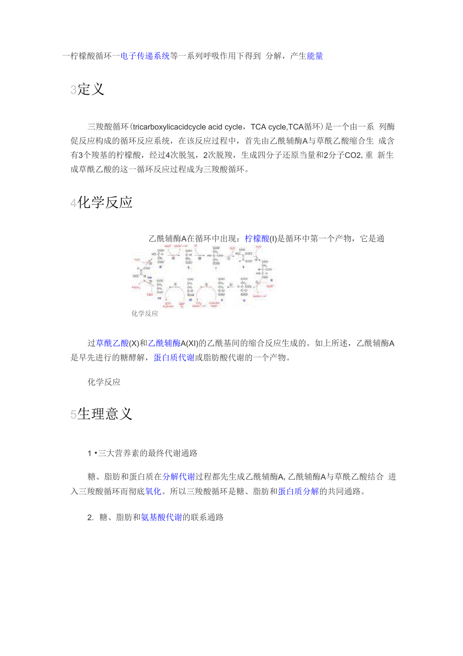 三羧酸循环_第3页