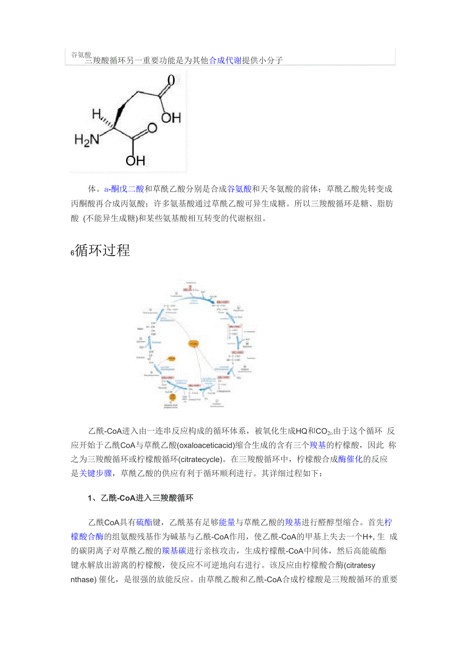 三羧酸循环_第4页