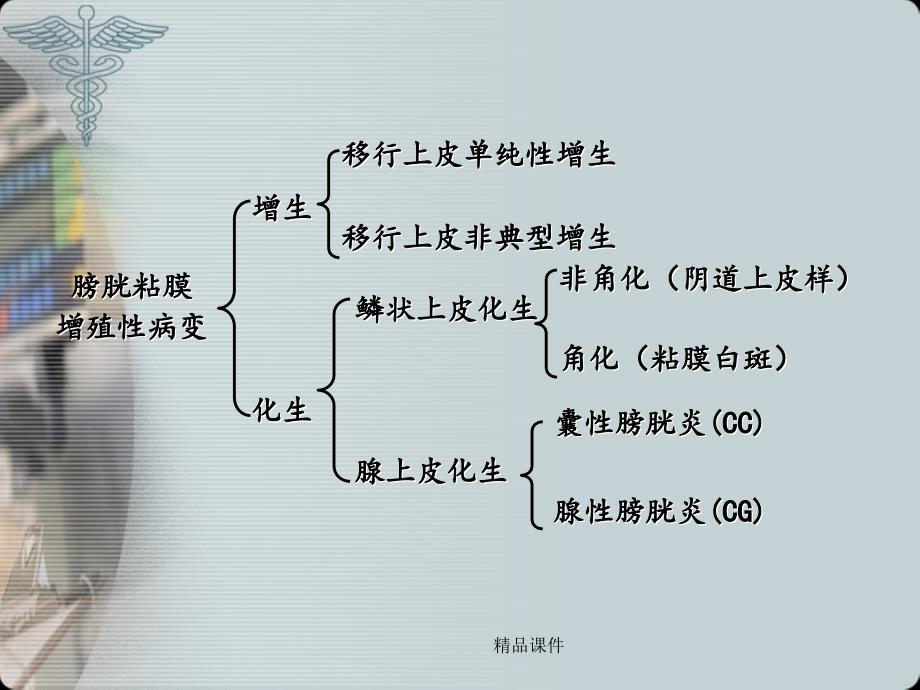 腺性膀胱炎最新版本课件_第4页