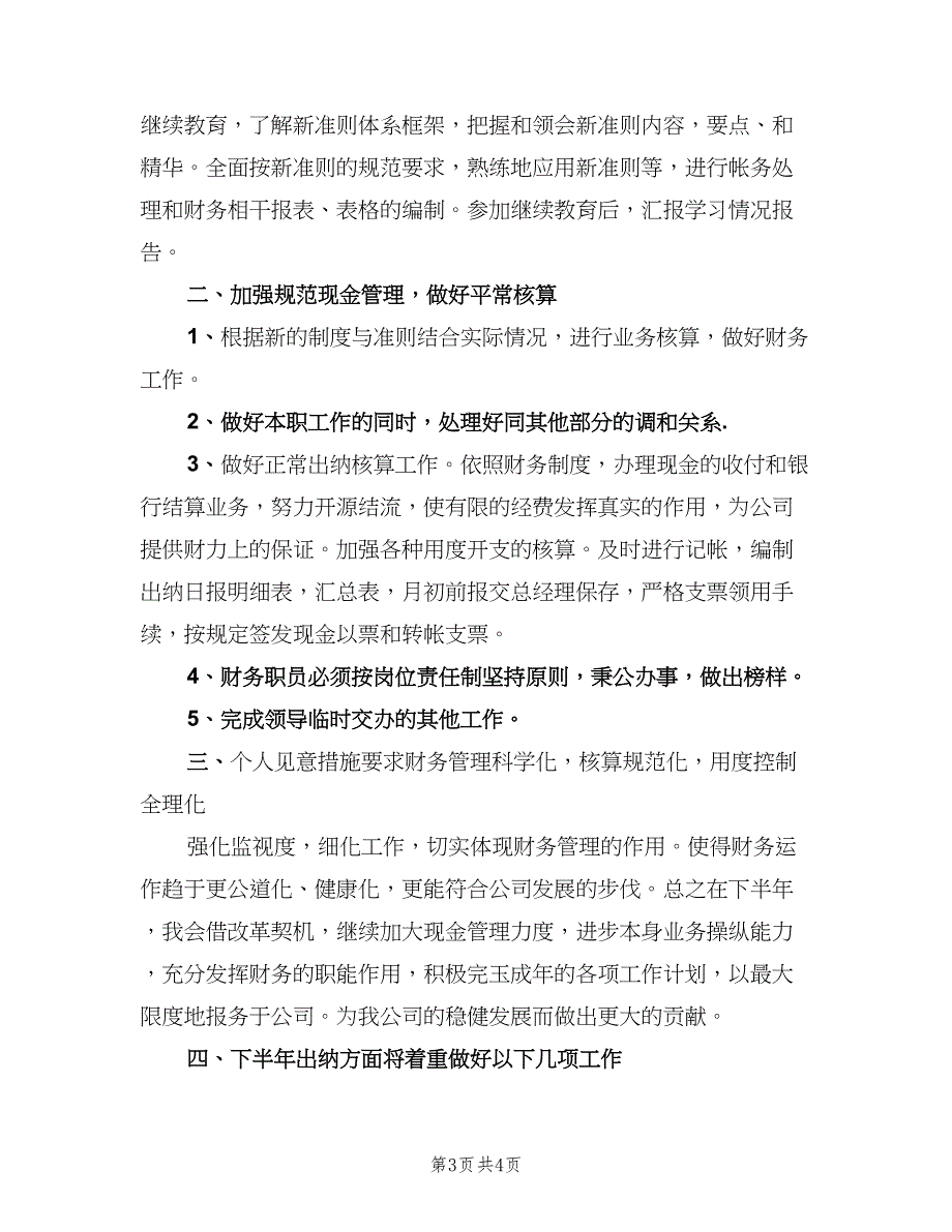 2023公司出纳的工作计划模板（二篇）_第3页