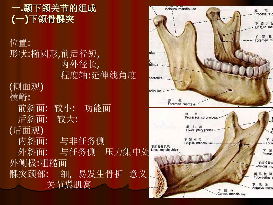 第三节神经分布ppt课件_第2页