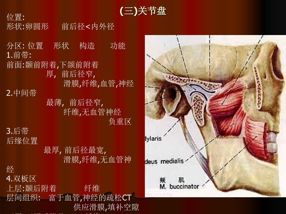 第三节神经分布ppt课件_第4页