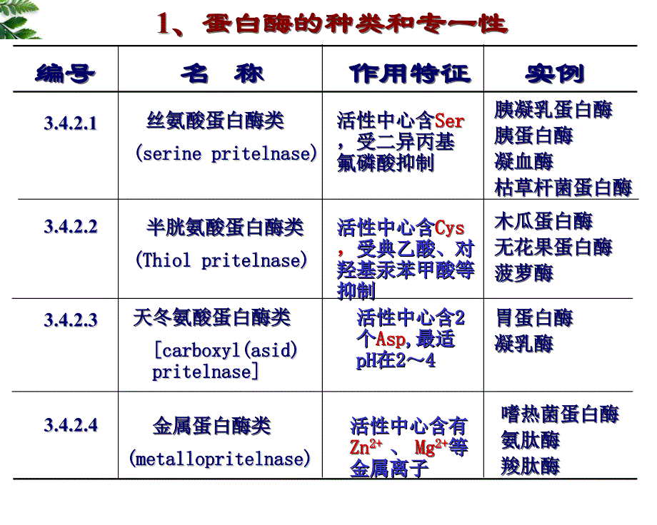 生物化学：第七章 蛋白质的酶促降解及氨基酸代谢_第4页