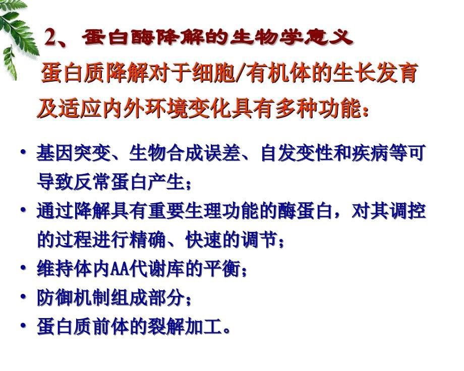 生物化学：第七章 蛋白质的酶促降解及氨基酸代谢_第5页