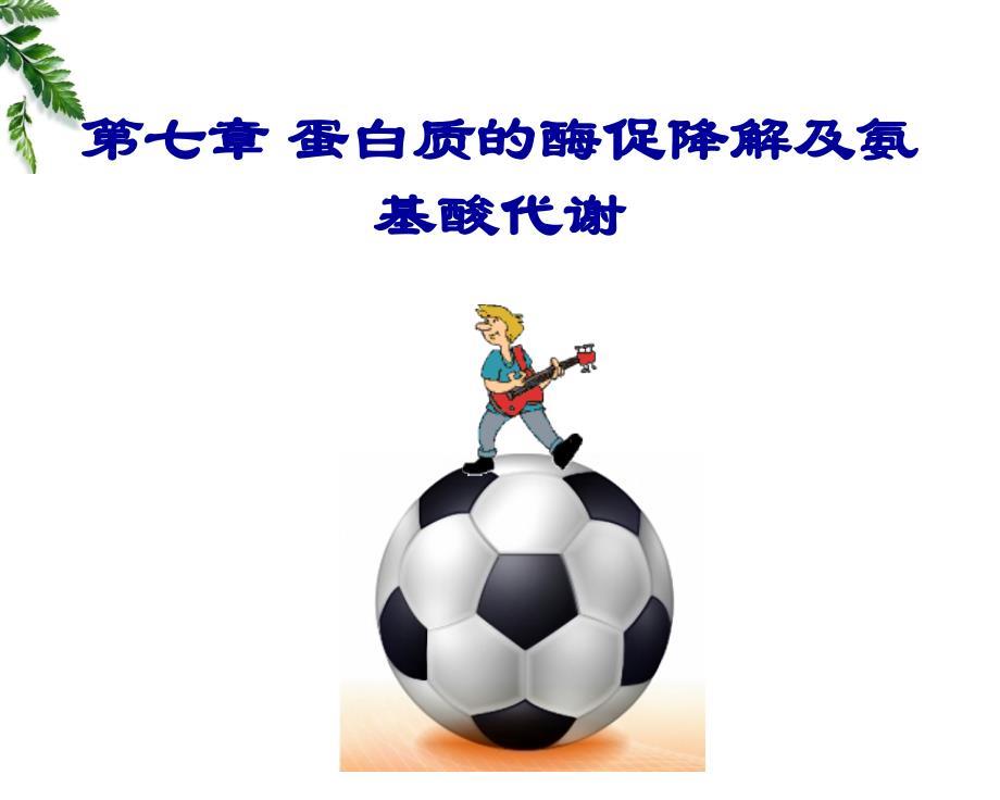 生物化学：第七章 蛋白质的酶促降解及氨基酸代谢