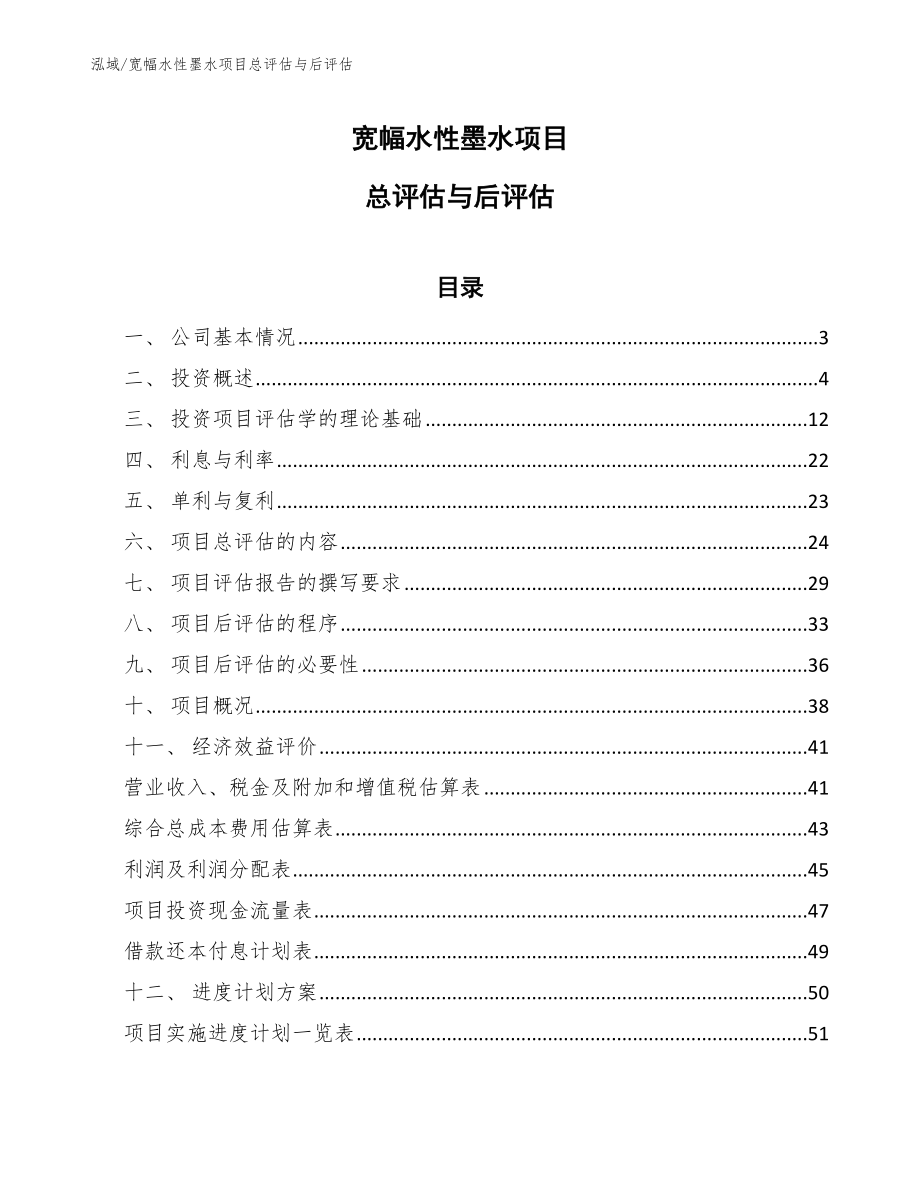 宽幅水性墨水项目总评估与后评估_第1页