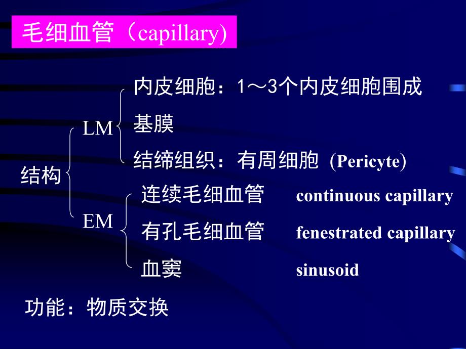 循环系统PPT课件_第3页