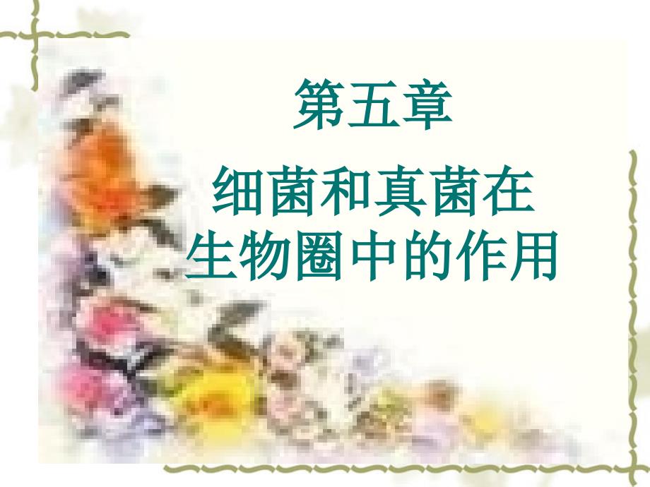 细菌和真菌在自然界中的作用PPT_第1页