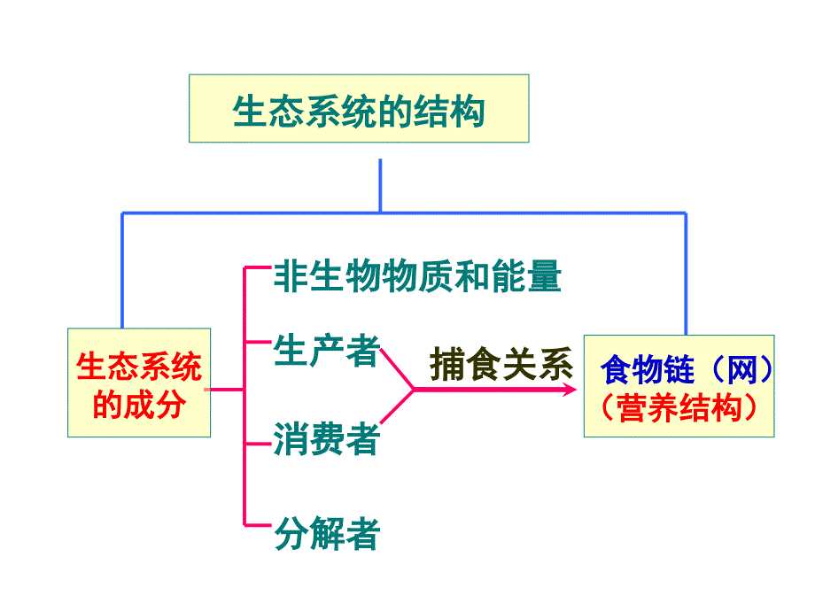 生态系统的能量流动课件_第1页