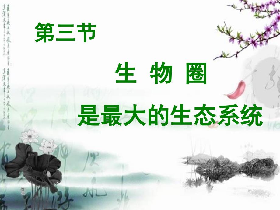 生物圈是最大的生态系统（上课用）_第3页