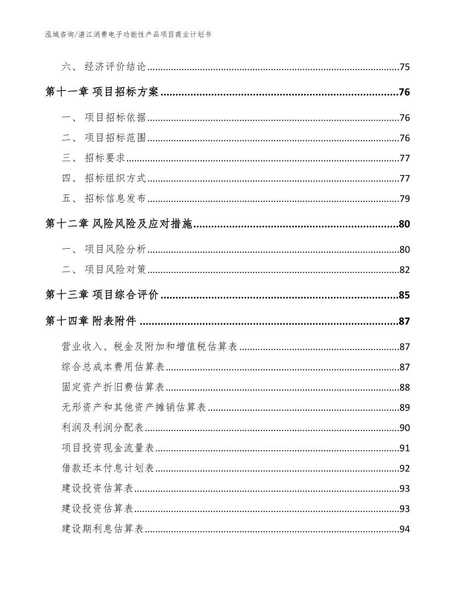 湛江消费电子功能性产品项目商业计划书【参考模板】_第5页