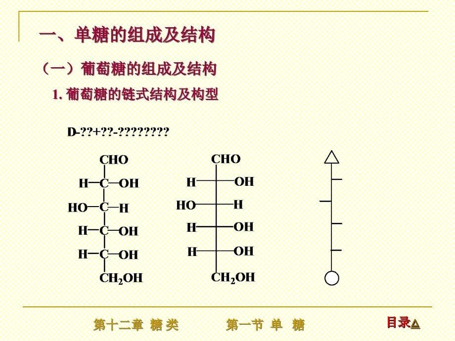 第十二章糖类_第5页