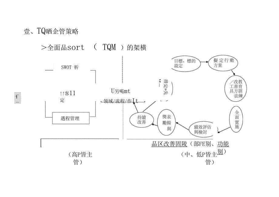 TQM全面质量管理TQM愿景与策略规划_第1页