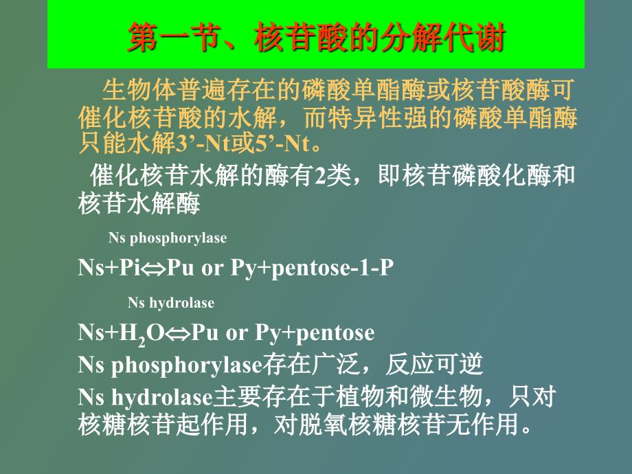 生物化学核酸分解代谢_第3页