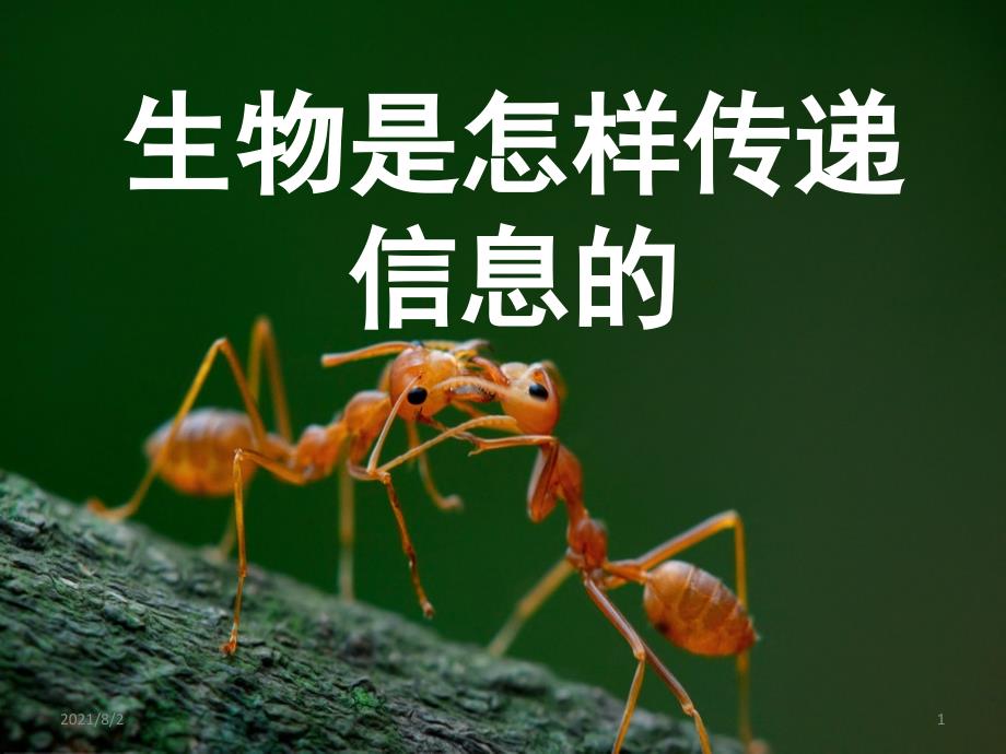 17生物是怎样传递信息的_第1页