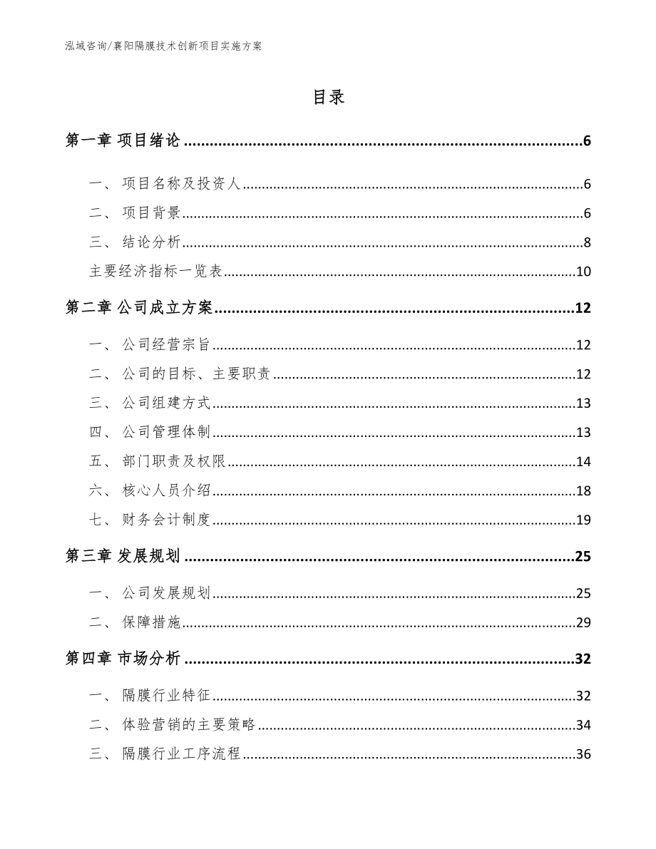 襄阳隔膜技术创新项目实施方案_范文_第1页