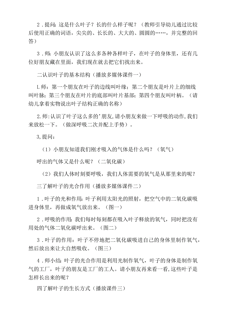 幼儿园科学活动叶子的教案设计_第2页