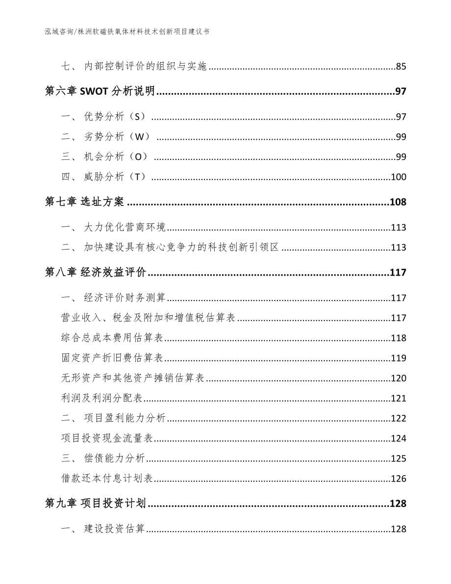 株洲软磁铁氧体材料技术创新项目建议书_第5页