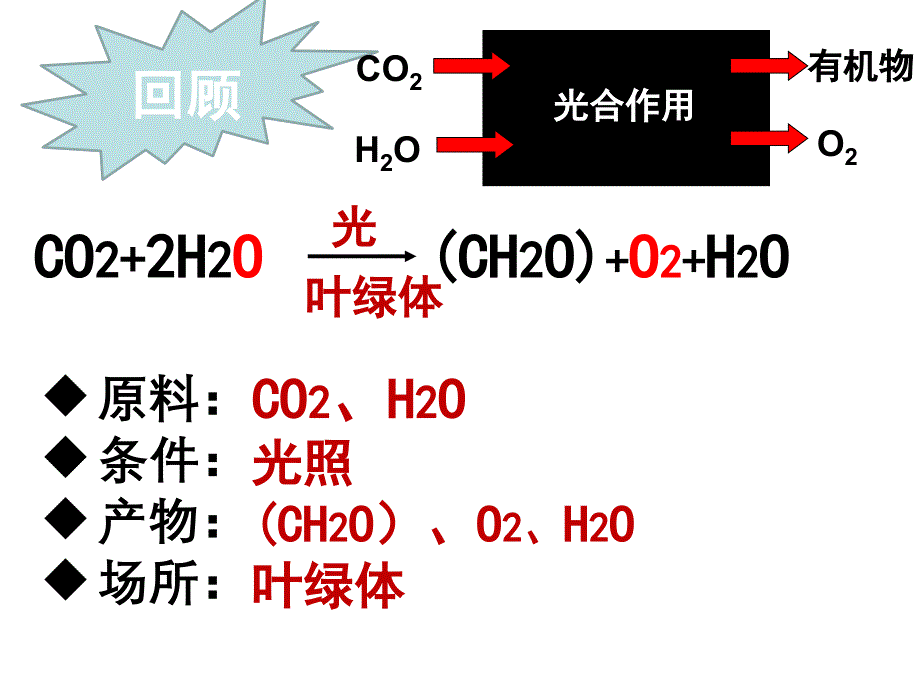 光合作用的过程 (3)_第1页