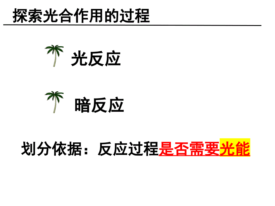 光合作用的过程 (3)_第2页