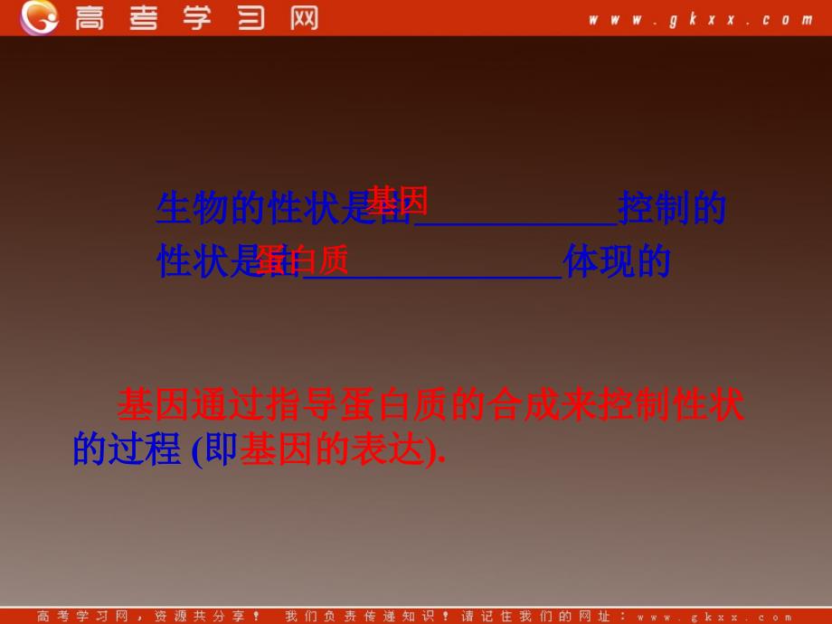 4.1基因指导蛋白质的合成课件3柯旭文_第2页