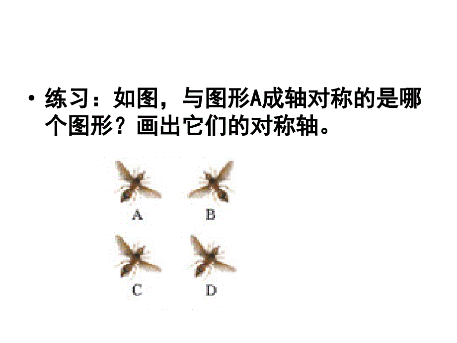 轴对称第３课时_第3页