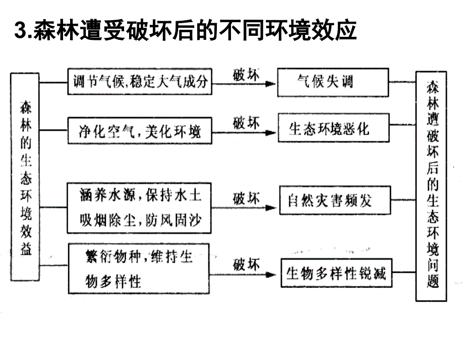 森林的开发和保护 (2)_第4页