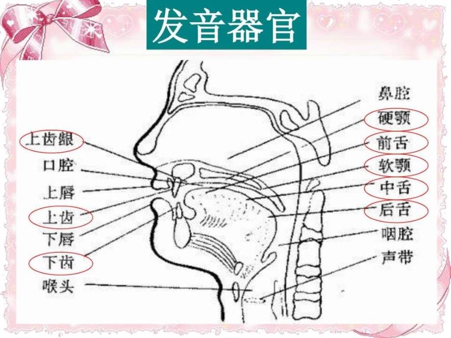 最新英语全套音标学习课件._第3页