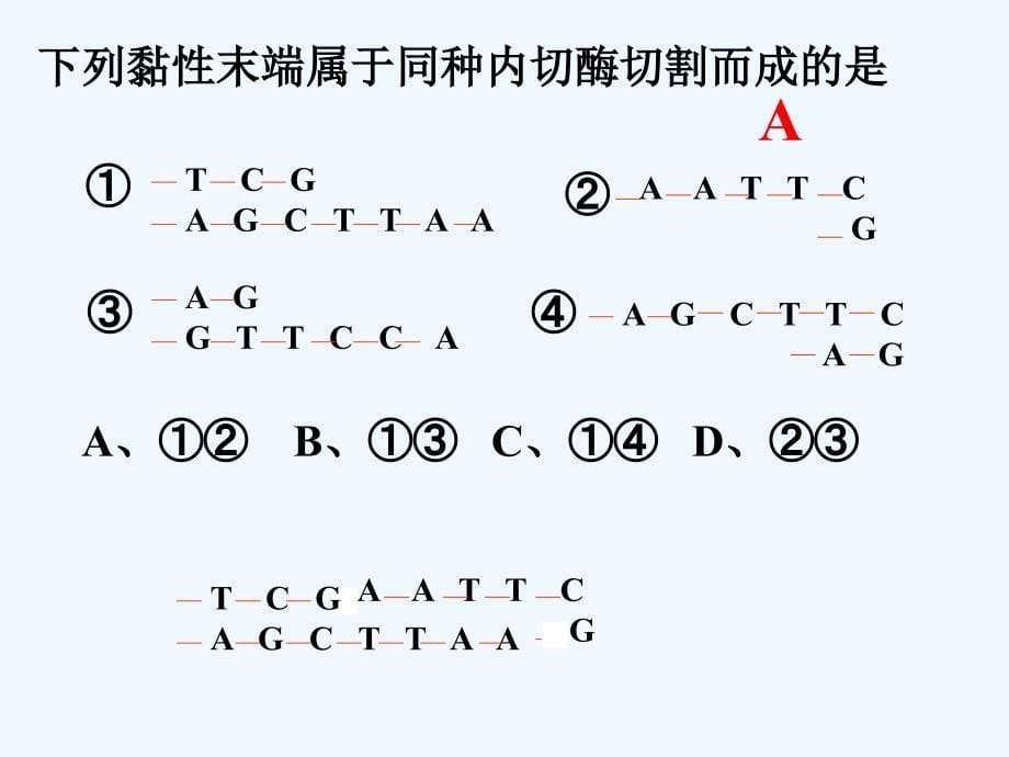 专题1 基因工程一轮复习_第5页