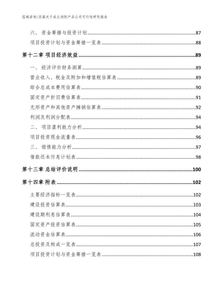 巫溪关于成立消防产品公司可行性研究报告模板参考_第5页