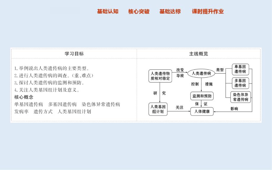 高中人教版生物必修二课件：5.3 人类遗传病2_第2页