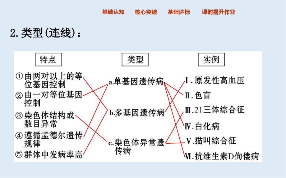 高中人教版生物必修二课件：5.3 人类遗传病2_第4页