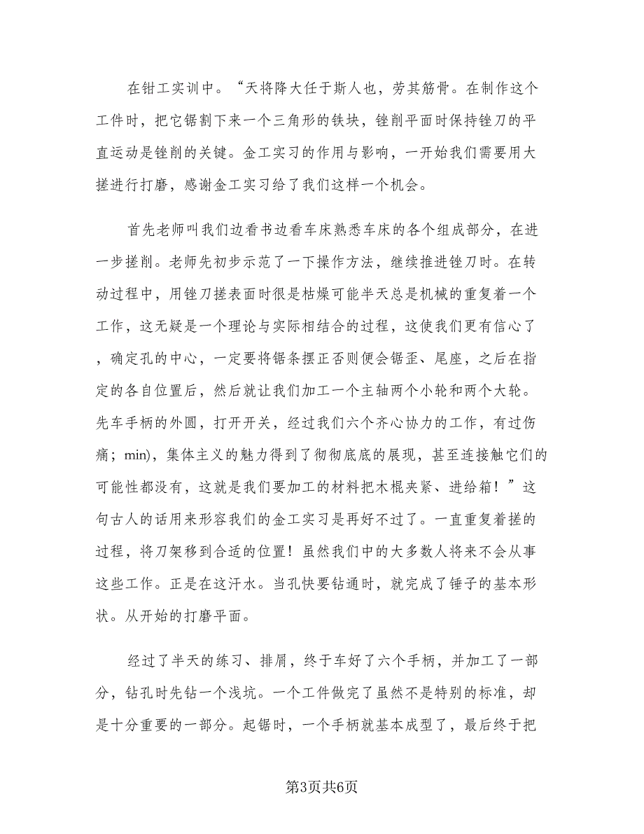 2023年金工实训报告总结标准模板（2篇）.doc_第3页