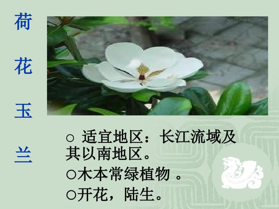 多种多样的植物.PPT名师制作优质教学资料_第3页