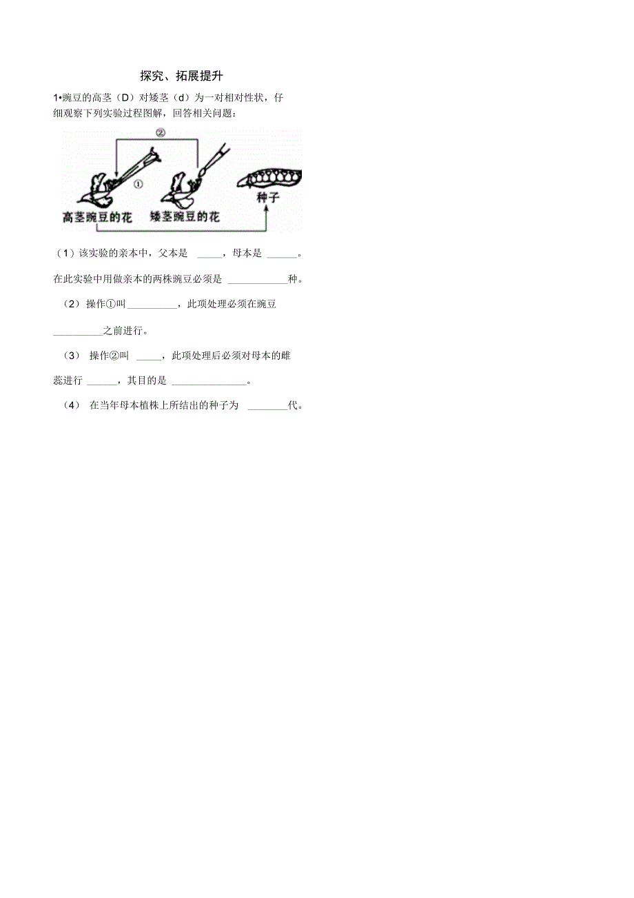 孟德尔的豌豆杂交实验导学案_第2页