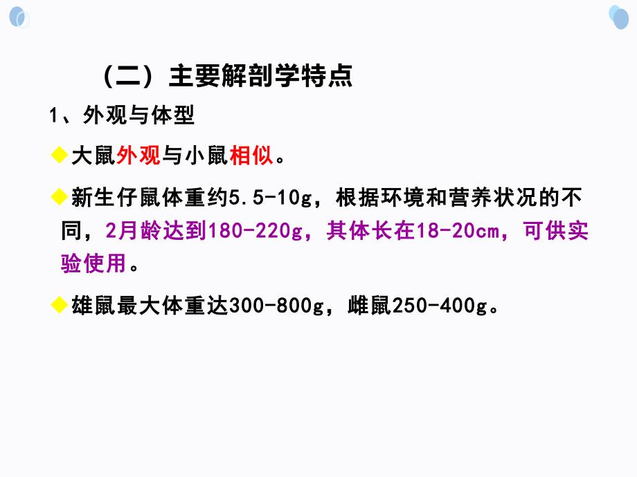 实验动物学大鼠课件_第4页