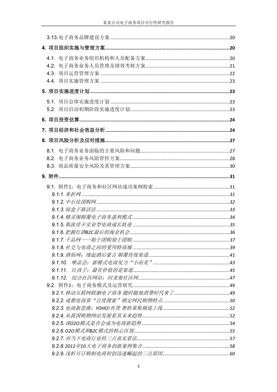 某某公司电子商务项目可行性研究报告(DOC 88页)_第3页