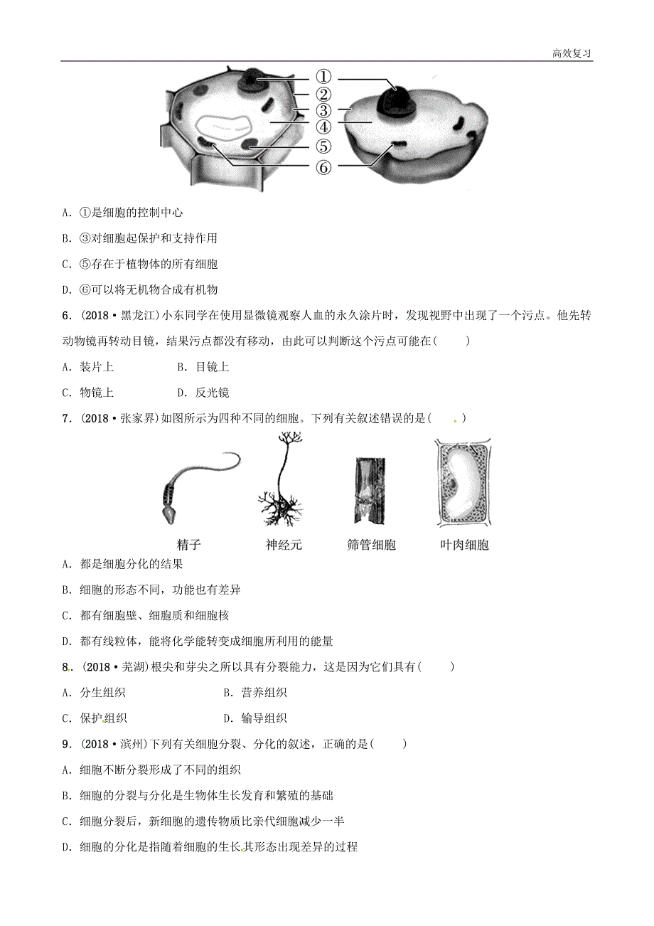 江西专版2019中考生物第2部分专题二科学探究与生物体的结构层次专题复习演练27含答案_第2页